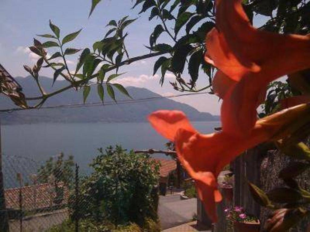 Home Sweet Home Lakeview Oggebbio Exterior photo